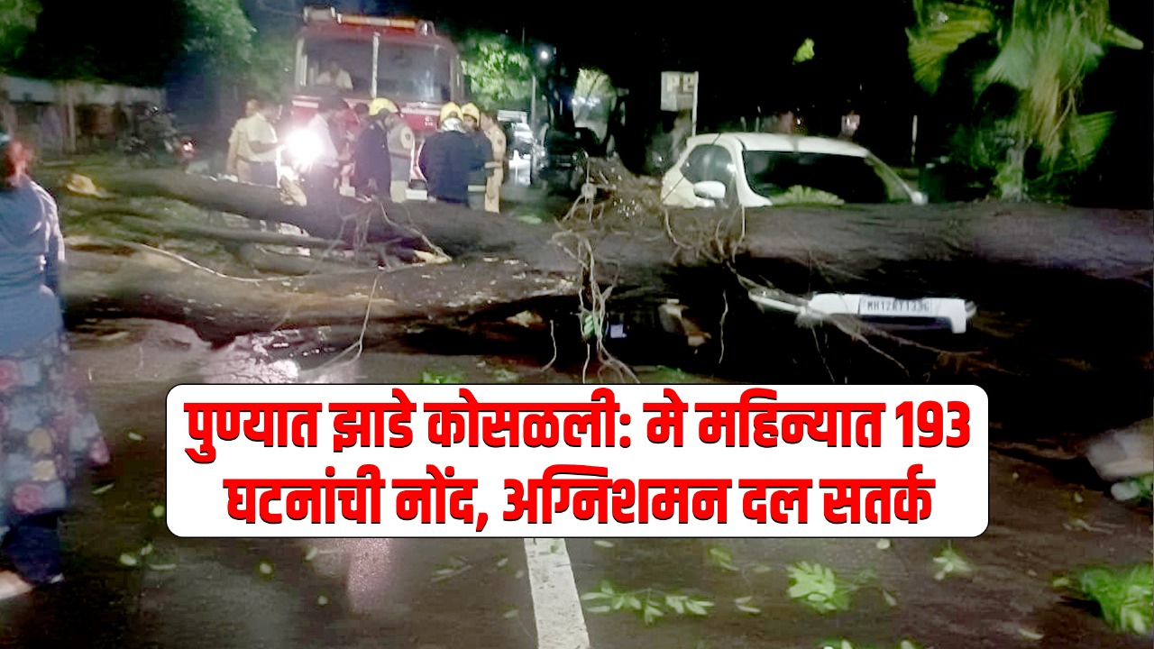 पुण्यात झाडे कोसळली: मे महिन्यात १९३ घटनांची नोंद, अग्निशमन दल सतर्क