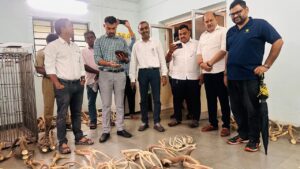 राजीव गांधी प्राणी संग्रहालय शिंगांचे नष्टीकरण