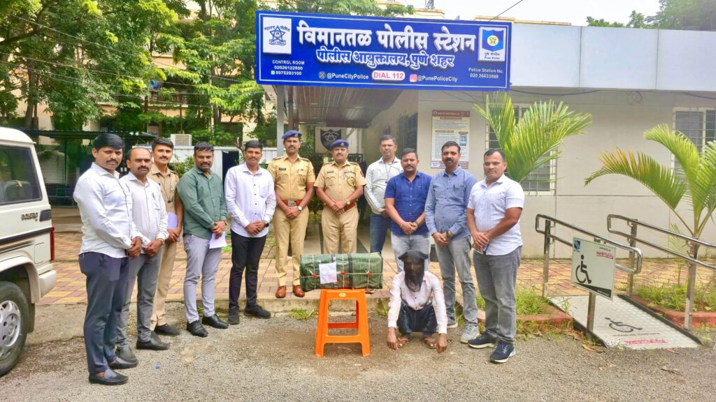 लोहगावमध्ये १२ किलो गांज्यासह इसम अटकेत, विमानतळ पोलिसांची धडाकेबाज कारवाई