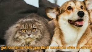 मुंबई BMCचा नवा निर्णय: कुत्रा-बिल्ली पाळणाऱ्यांना वार्षिक कर अनिवार्य,
