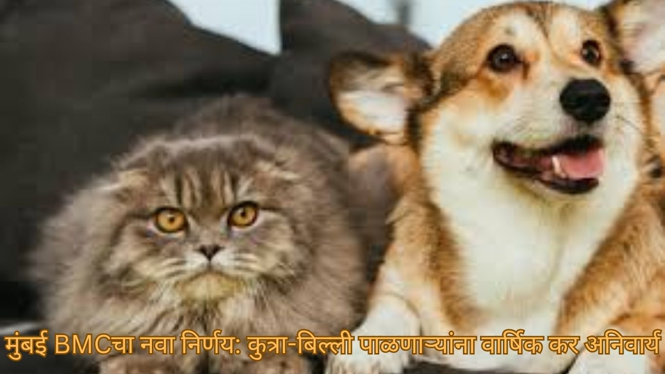 मुंबई BMCचा नवा निर्णय: कुत्रा-बिल्ली पाळणाऱ्यांना वार्षिक कर अनिवार्य,