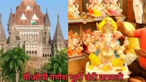 पीओपी गणेश मूर्ती बंदी उठवली