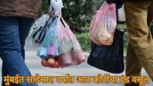 प्लास्टिक च्या वापरामुळे दंड वसूल तरी वापर सुरूच
