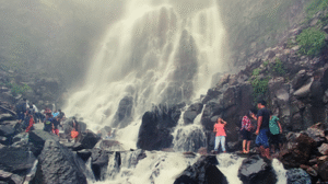 कोल्हापूरचा पर्यटक 400 फूट दरीत कोसळला. शोध मोहीम सुरू