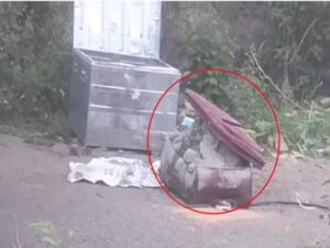 छत्तीसगडच्या राजधानीत ब्लू‑ड्रममधला जघन्य खून सारखीच एक टोचदार घटना घडली आहे