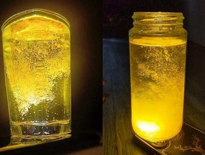 पण ज्योतिषशास्त्रानुसार तो घरात नकारात्मक शक्ती आणू शकतो.