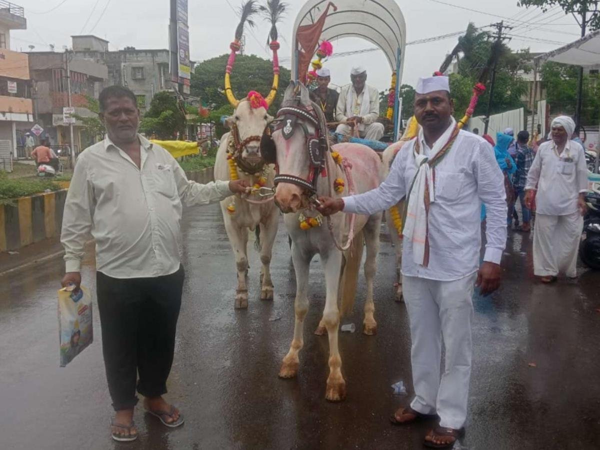 संत निवृत्तीनाथ पालखीच्या दिंडीतील घोडा चोरून नेल्याप्रकरणी आरोपी अटकेत