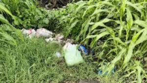 Vasai News: वसईत कचऱ्याच्या ढिगाऱ्यात गोणीत सापडले नवजात बाळ