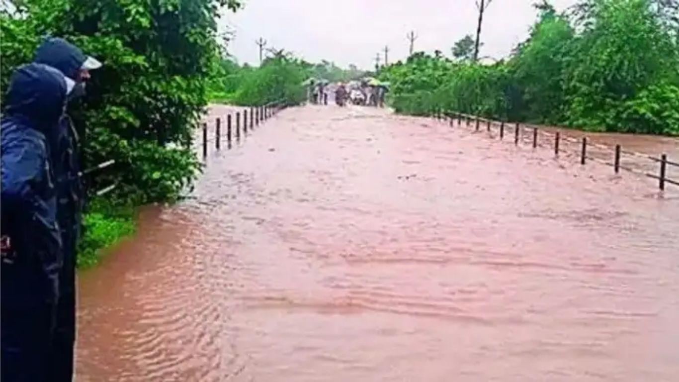 विदर्भात पूर, पाचजण वाहून गेले, गोंदियात कारवर झाड कोसळून दोघांचा मृत्यू
