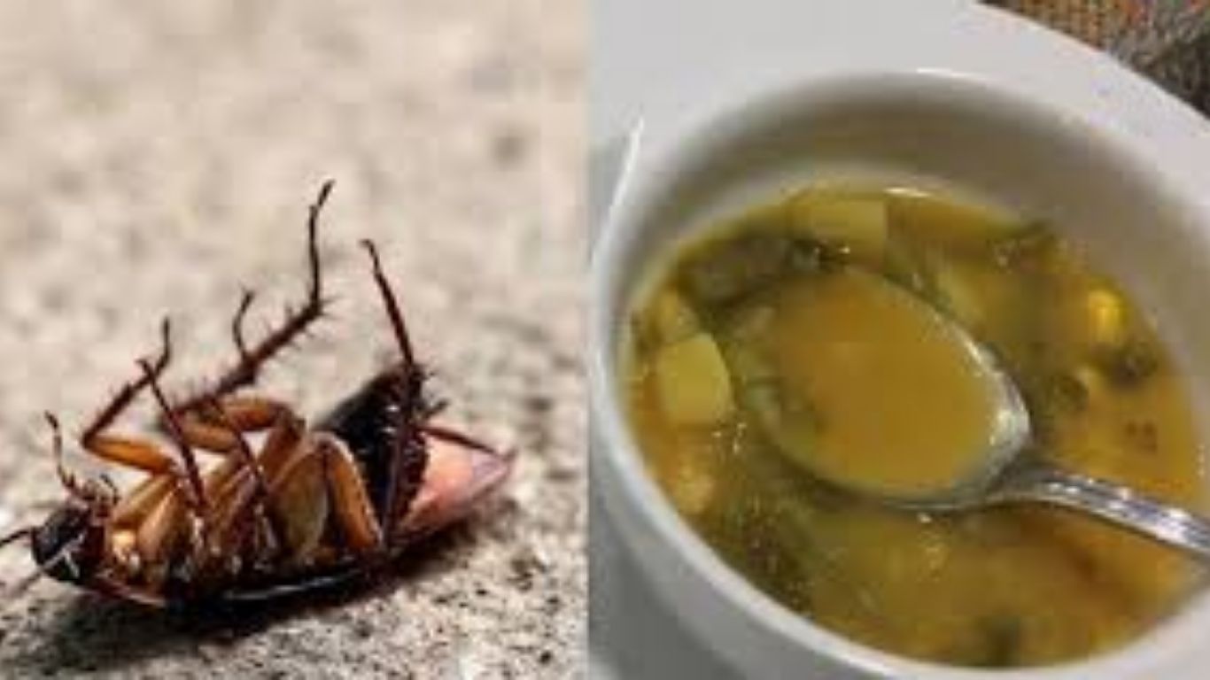 पुण्यातील हॉटेलमध्ये सूपमध्ये झुरळ सापडल्याने गुन्हा नोंद