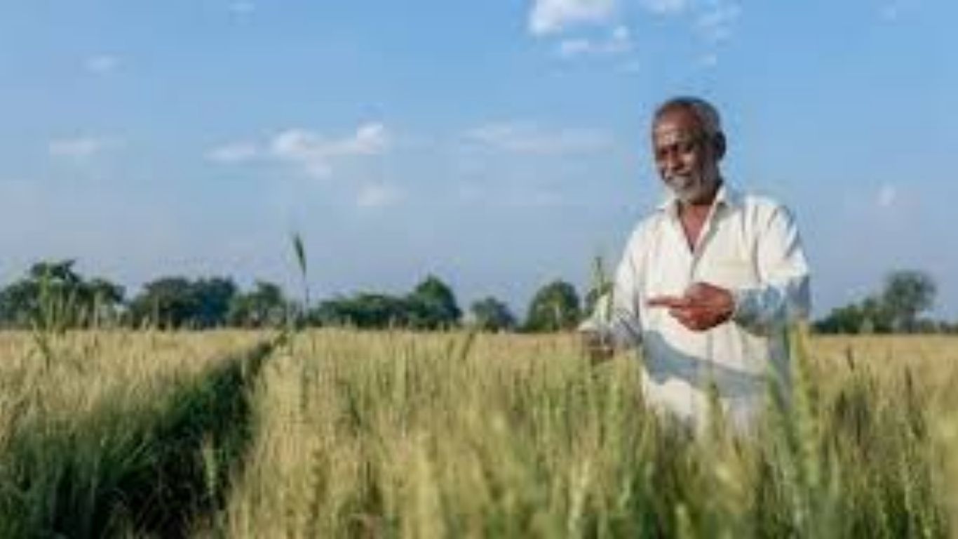 सुधारित प्रधानमंत्री पीक विमा योजना: शेतकऱ्यांना मिळणार स्वैच्छिक सहभागाचा लाभ