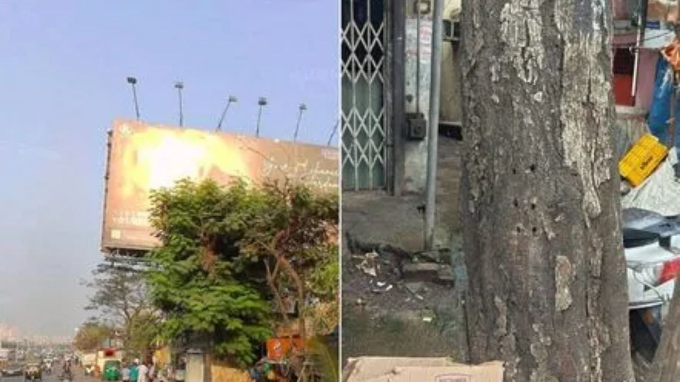 मिरा-भाईंदरमध्ये जाहिरातीसाठी झाड मारले, कंपनीवर गुन्हा दाखल