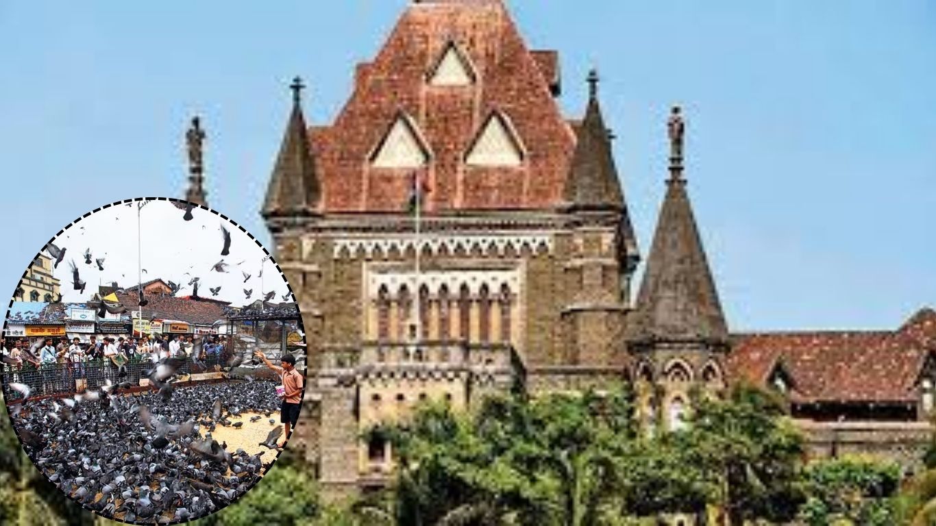 हायकोर्टाचा निर्णय: दादरचा हेरिटेज कबुतरखाना राहणार कायम