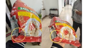 वाकडमध्ये स्विगी इंस्टामार्टकडून उंदरांनी कुरतडलेले ओट्स पॅकेट ग्राहकाला मिळाले; स्वच्छतेबाबत गंभीर प्रश्न