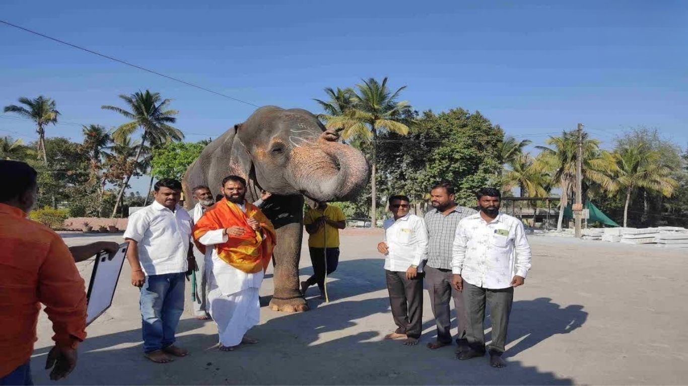 40 वर्षांचा स्नेहबंध संपला; कोल्हापूरची महादेवी हत्ती वनतारामध्ये पाठवली