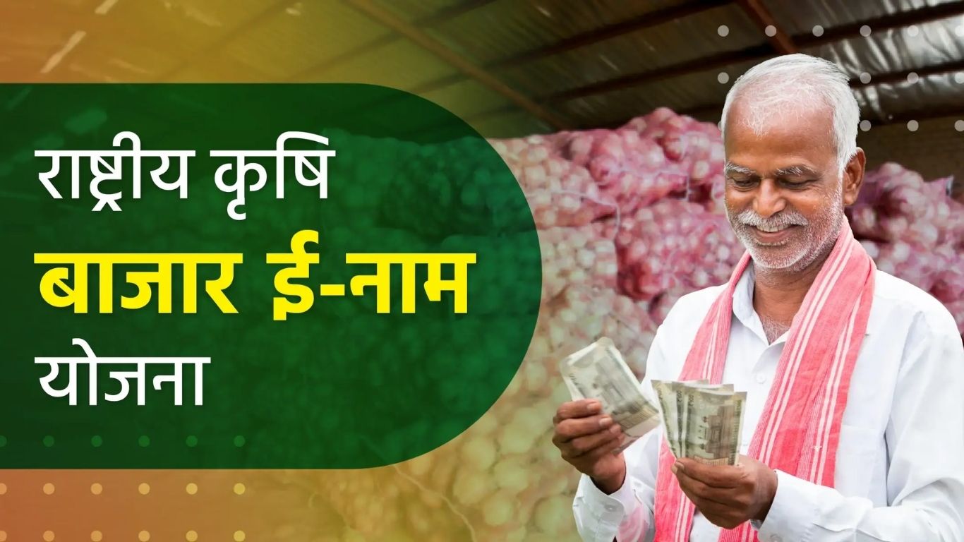 महाराष्ट्रातील १३३ बाजार समित्यांमध्ये ‘ई-नाम’ योजना लागू; शेतकऱ्यांना थेट फायदा