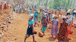 रोजगार हमी योजनेतील फसवणूक प्रकरण