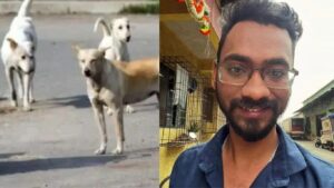 कल्याणमध्ये भटक्या कुत्र्यांवरून नागरिक-प्राणी मित्र आमनेसामने; 4 महिन्यांत 8789 लोकांना चावा