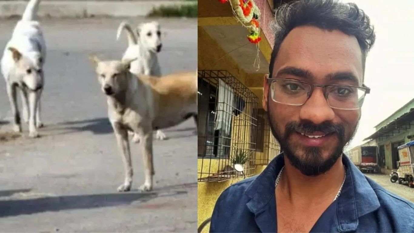 कल्याणमध्ये भटक्या कुत्र्यांवरून नागरिक-प्राणी मित्र आमनेसामने; 4 महिन्यांत 8789 लोकांना चावा