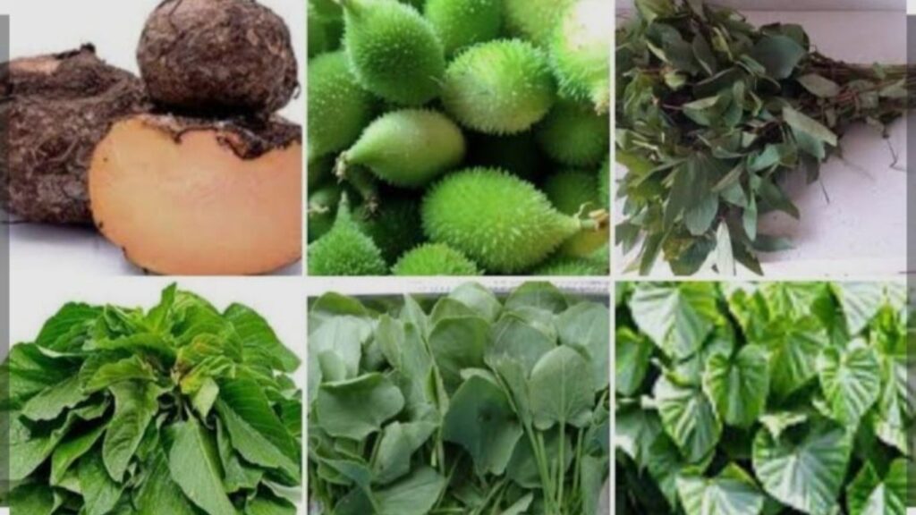 जळगावात रानभाजी महोत्सव; पारंपारिक भाज्यांना नागरिकांचा उत्स्फूर्त प्रतिसाद