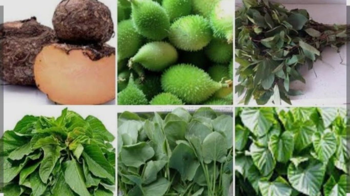 जळगावात रानभाजी महोत्सव; पारंपारिक भाज्यांना नागरिकांचा उत्स्फूर्त प्रतिसाद