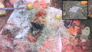 पालघर सातिवली गावात स्मशानभूमीत अघोरी पूजा; मांत्रिक पळाला, ग्रामस्थांमध्ये भीतीचं वातावरण