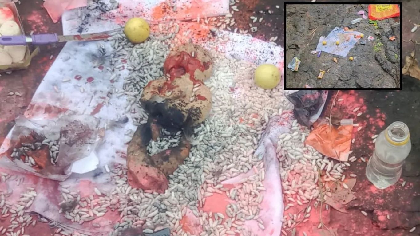 पालघर सातिवली गावात स्मशानभूमीत अघोरी पूजा; मांत्रिक पळाला, ग्रामस्थांमध्ये भीतीचं वातावरण