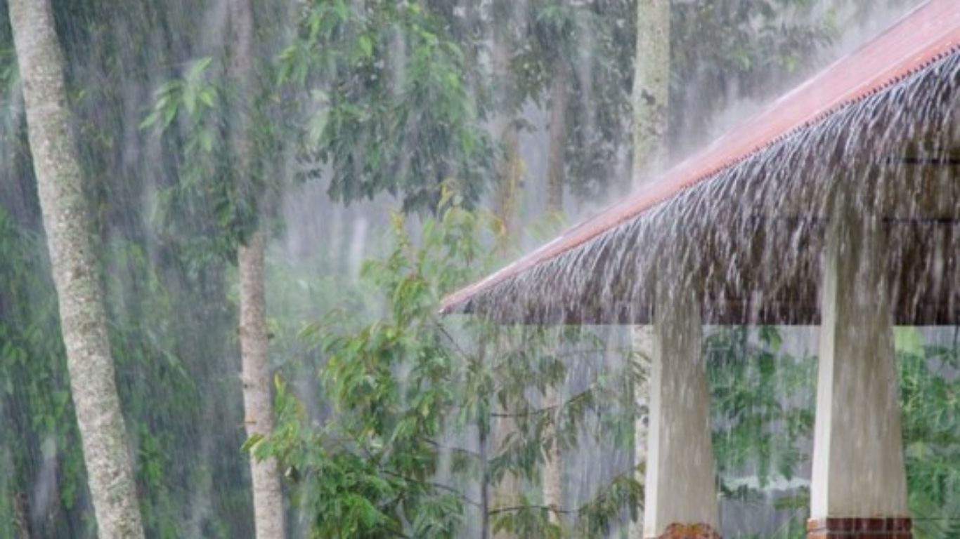 बंगालच्या उपसागरात कमी दाबाचा पट्टा; अनेक राज्यांना IMD चा हाय अलर्ट