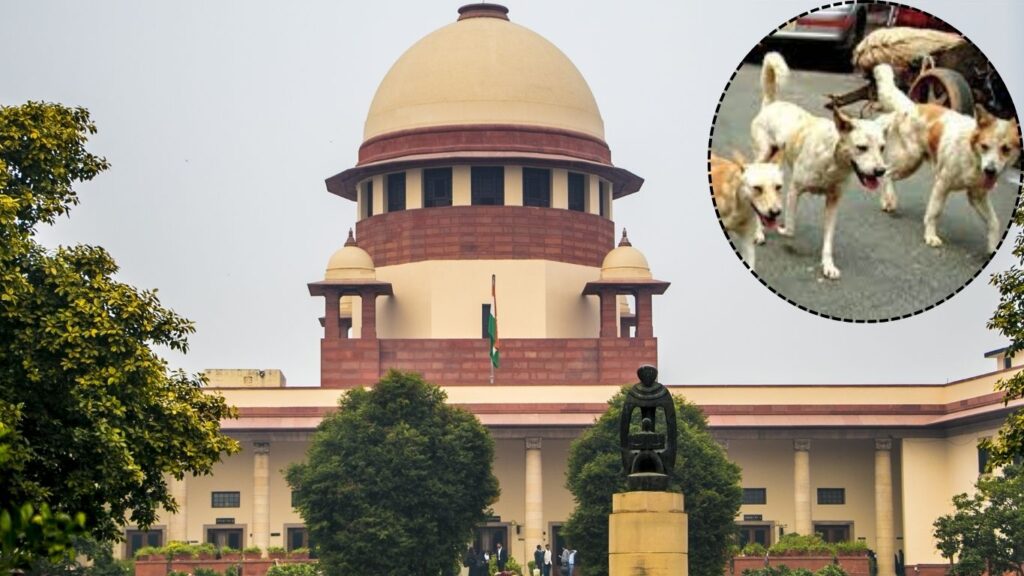 सुप्रीम कोर्टाचा आदेश : दिल्लीतील भटके कुत्रे ८ आठवड्यांत पकडून शेल्टर होममध्ये पाठवा