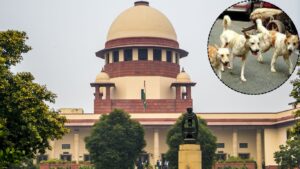 सुप्रीम कोर्टाचा आदेश : दिल्लीतील भटके कुत्रे ८ आठवड्यांत पकडून शेल्टर होममध्ये पाठवा