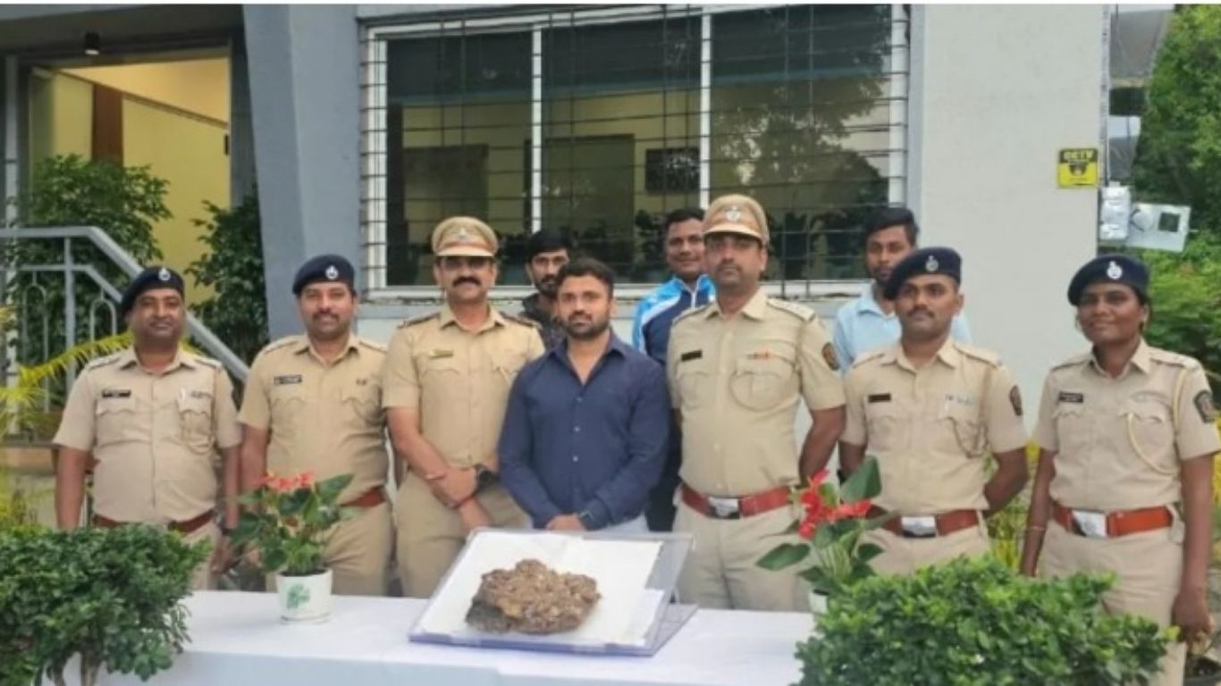 पुण्यात 2 कोटींच्या व्हेल माशाच्या उलटीची तस्करी उधळली; तिघांना अटक, वनविभागाची धडाकेबाज कारवाई