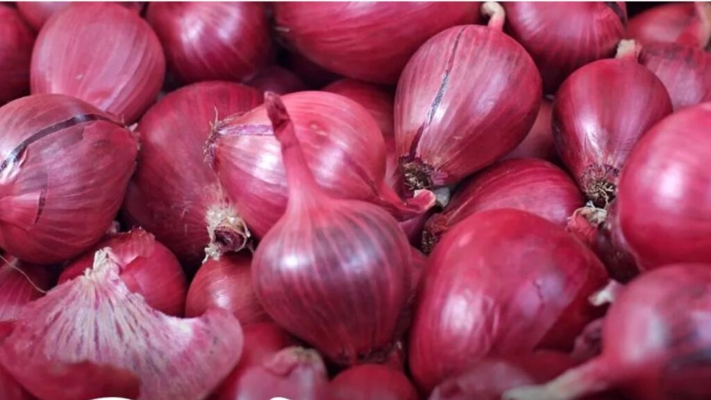 कांदा व टोमॅटो पिकासाठी धोरण तयार करण्यासाठी महाराष्ट्र सरकारची समिती