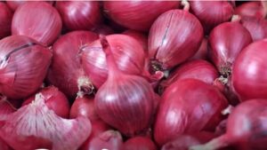 कांदा व टोमॅटो पिकासाठी धोरण तयार करण्यासाठी महाराष्ट्र सरकारची समिती