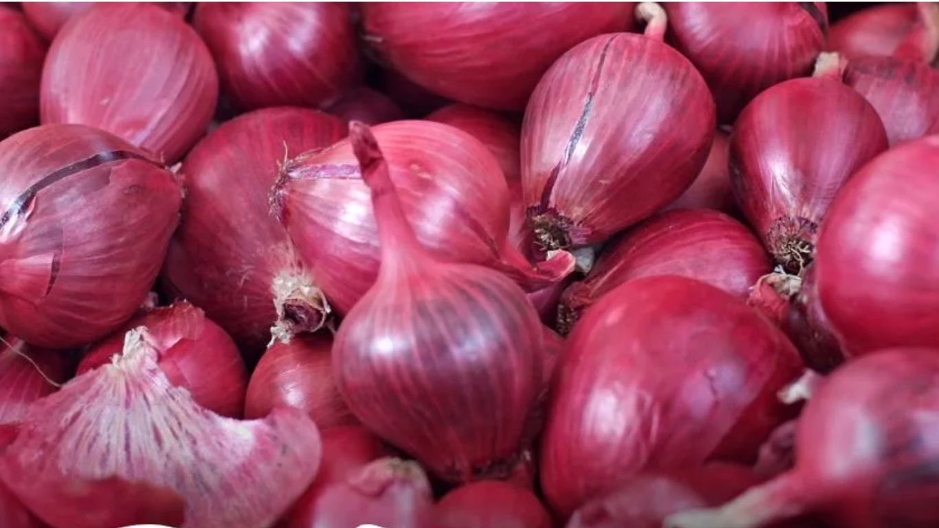 कांदा व टोमॅटो पिकासाठी धोरण तयार करण्यासाठी महाराष्ट्र सरकारची समिती