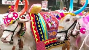 पोळा सण 2025 : येवला बाजारपेठेत बैल सजावटीच्या साहित्यांच्या किमतीत 20% पर्यंत वाढ
