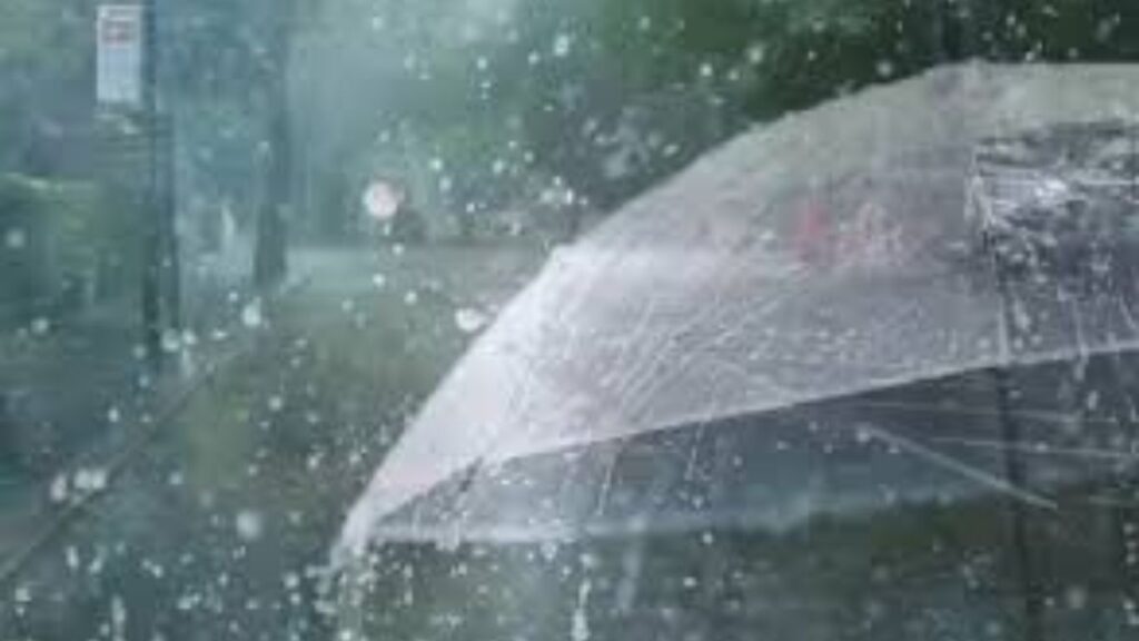 पुण्यात पावसाचा जोर ओसरला; शहरात हलक्या सरी, धरणे मात्र जलाशयाने भरले