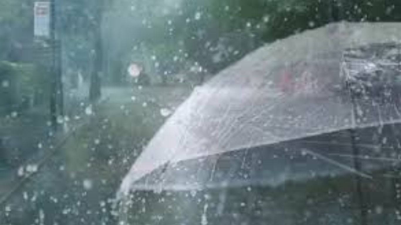 पुण्यात पावसाचा जोर ओसरला; शहरात हलक्या सरी, धरणे मात्र जलाशयाने भरले