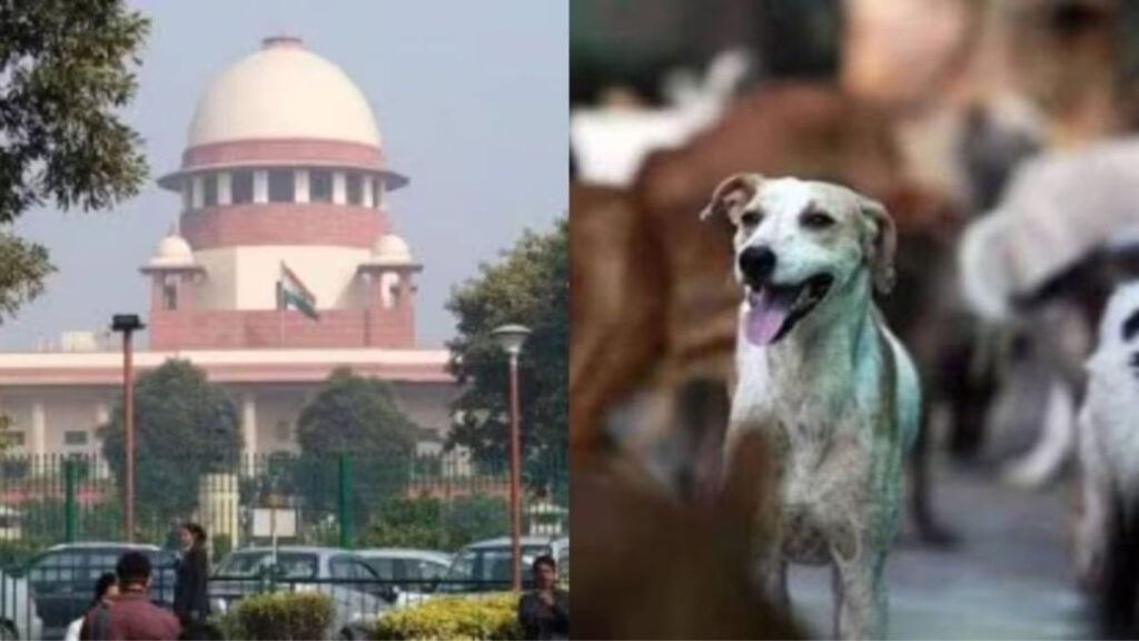 भटक्या कुत्र्यांबाबत Supreme Court चा मोठा निर्णय | शेल्टर आदेशाला स्थगिती