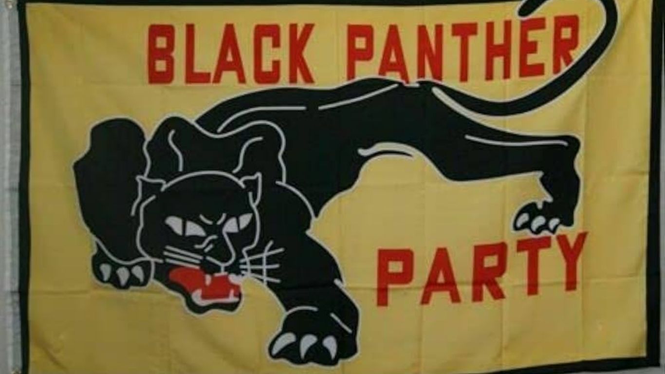 मराठा आंदोलनातील महिला पत्रकारांवरील गैरवर्तन; ब्लॅक पँथर पक्षाची तात्काळ कारवाईची मागणी