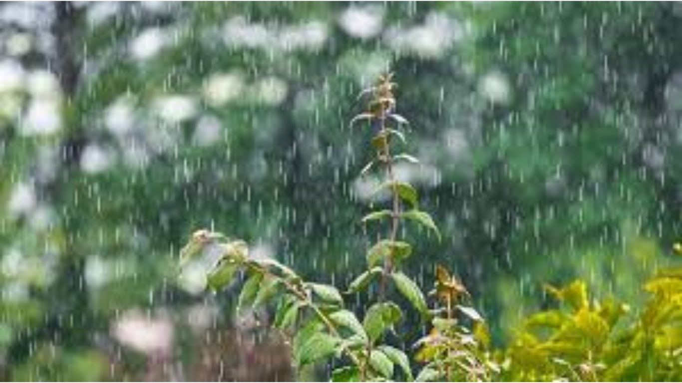 हवामान विभागाचा अंदाज, मुसळधार पावसाची शक्यता