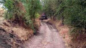 राज्यातील शेतकऱ्यांसाठी ऐतिहासिक निर्णय: प्रत्येक शेतापर्यंत 12 फूट रुंद रस्ता