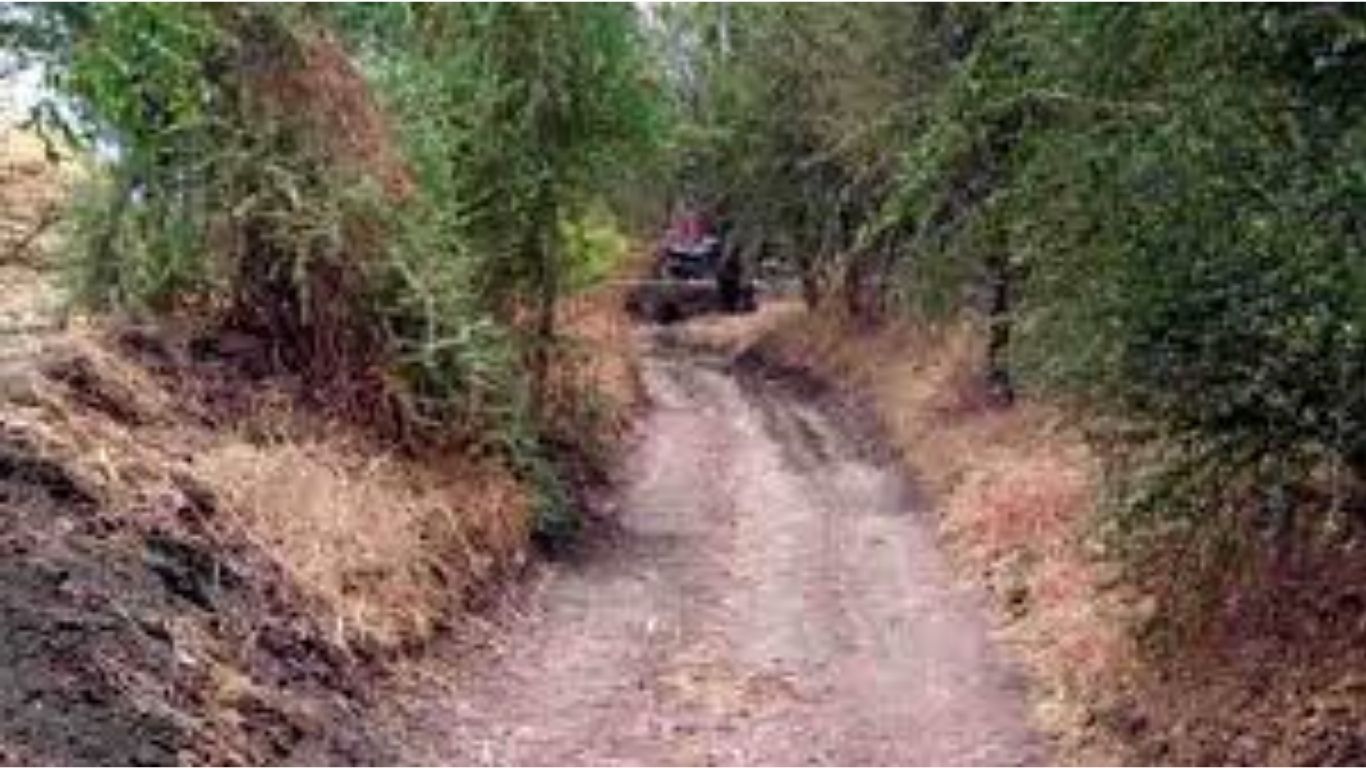 राज्यातील शेतकऱ्यांसाठी ऐतिहासिक निर्णय: प्रत्येक शेतापर्यंत 12 फूट रुंद रस्ता