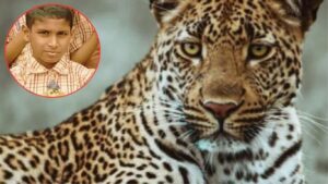 लपाछपी खेळणाऱ्या 10 वर्षीय सारंगचा बिबट्याच्या हल्ल्यात मृत्यू