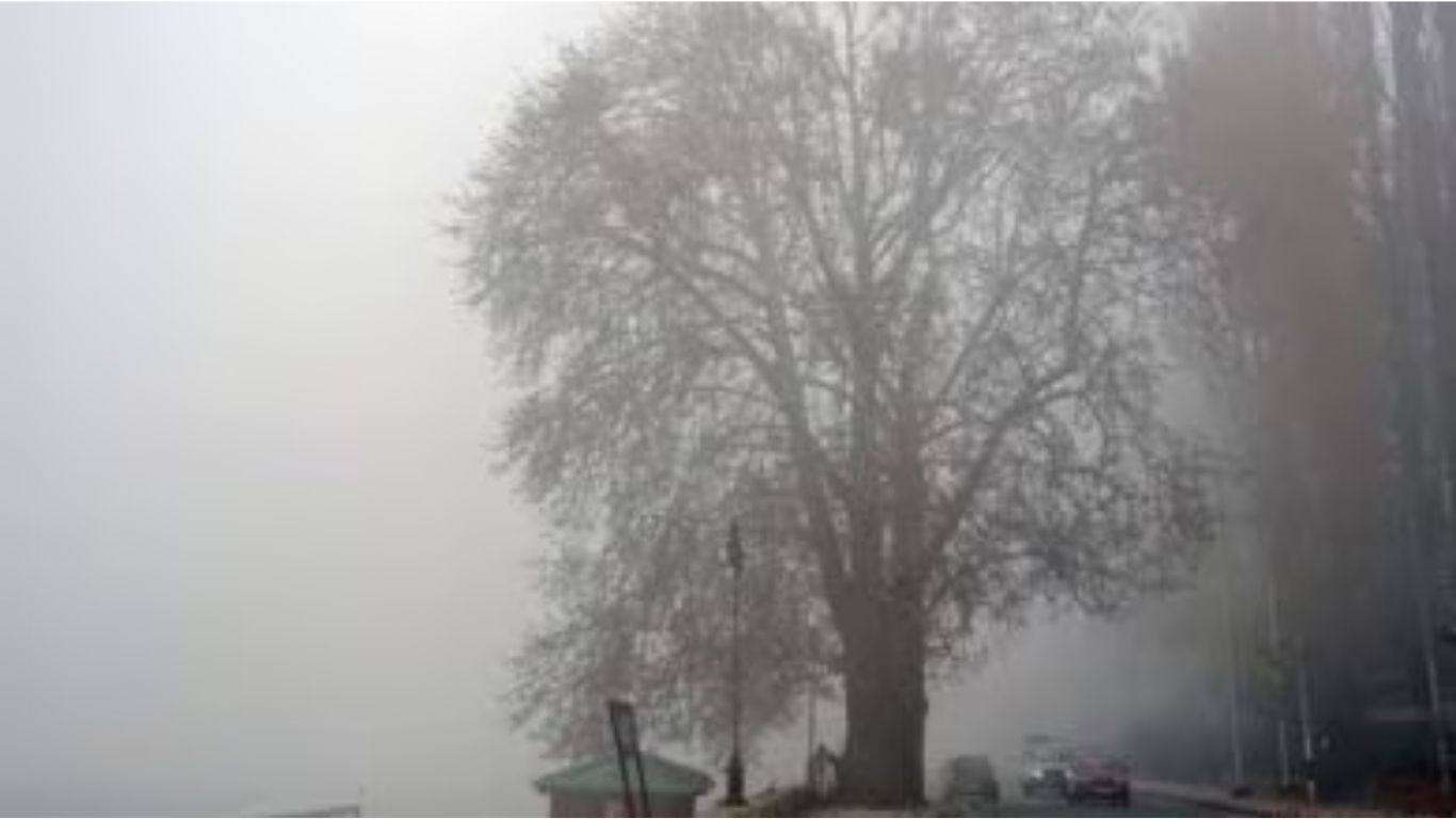 पुण्यात सप्टेंबर महिन्यातील ७ वर्षांतील सर्वात थंड सकाळ; तापमान १८.५°C वर घसरले