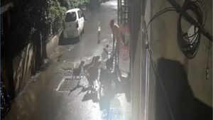 पुण्यात धक्कादायक आकडेवारी : दीड वर्षांत 40,000 नागरिकांवर मोकाट कुत्र्यांचे हल्ले