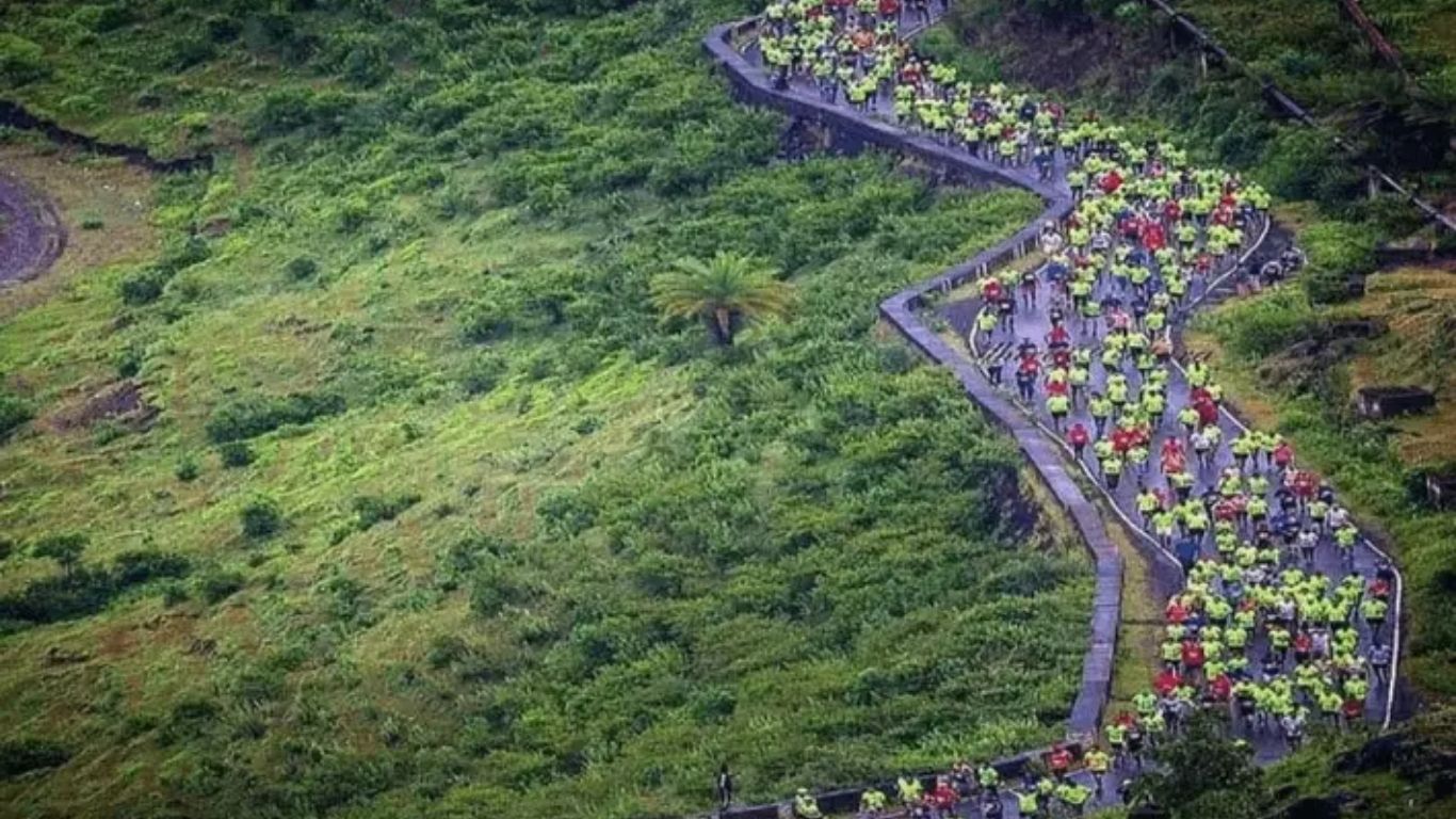 साताऱ्यात 14 सप्टेंबर रोजी होणाऱ्या 'सातारा हिल मॅरेथॉन' मुळे शहरातील वाहतूक सकाळी 5 ते 10 या वेळेत बंद राहणार आहे.