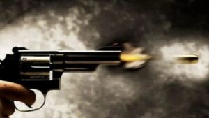 नोएडामध्ये गर्भश्रीमंत युवकांचा कार्यक्रमात गोळीबार, पोलिसांनी कारवाईचे आश्वासन