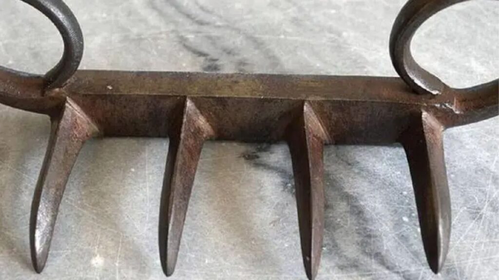 Kolhapur News: कोल्हापुरात 2 ऑक्टोबरला ऐतिहासिक वाघनख्यांचे आगमन, दसऱ्याच्या मुहूर्तावर विशेष प्रदर्शन