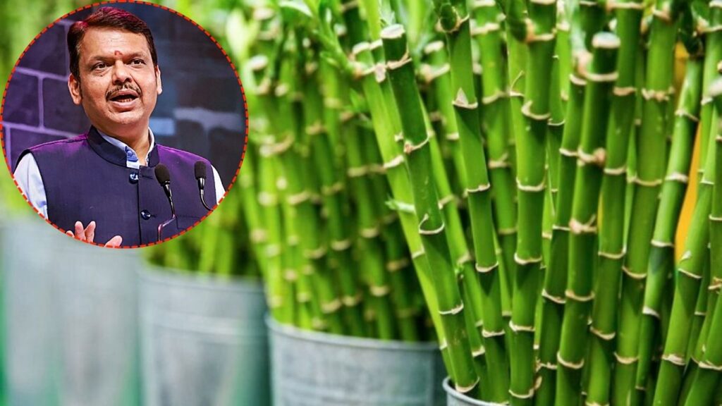 महाराष्ट्रात ₹4,000 कोटींचा बांस उद्योग प्रकल्प; ग्रामीण अर्थव्यवस्थेला मोठा चालना