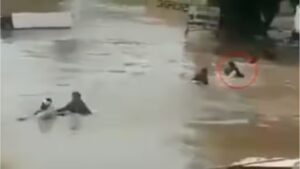 गिरीश महाजन यांनी घेतला नांदूर हवेली पूरस्थितीचा आढावा | Maharashtra Flood Updates